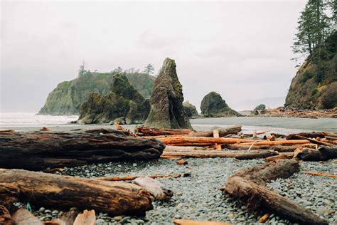 THE BEST Resorts near Ruby Beach, Olympic National Park.